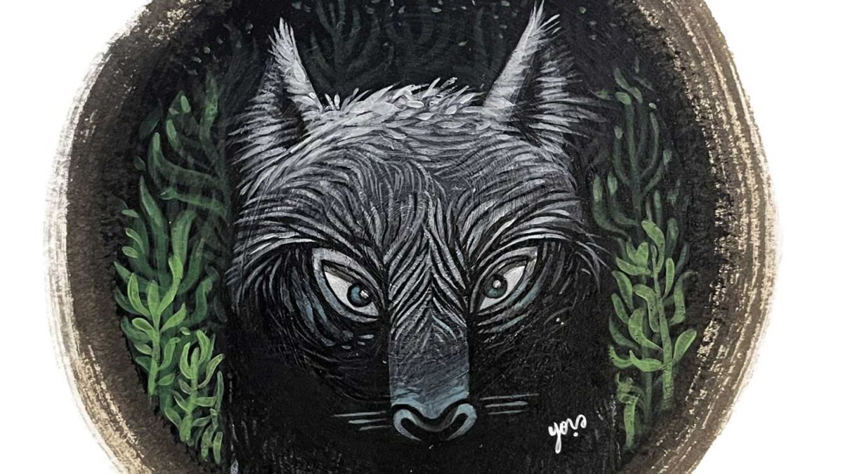 Lobo