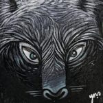 Lobo